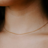 Ivy Dainty Cable Chain Necklace