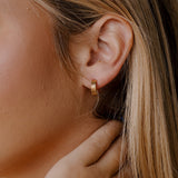 Vita Sculpted Huggie Earrings
