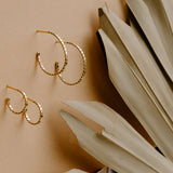 Celine Statement Hoop & Huggie Earrings